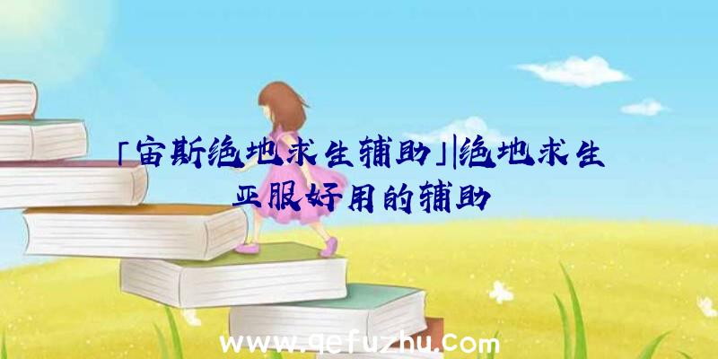 「宙斯绝地求生辅助」|绝地求生亚服好用的辅助